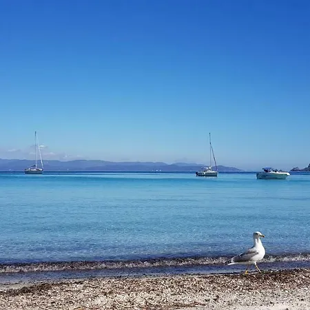 Studio Flamingo Giens Hyères